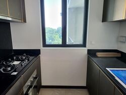 Normanton Park (D5), Apartment #482558511